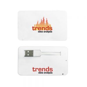 Business Card USB 2.0 Flash Drive - 1GB